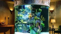 Аквариум во куќата: штета или корист?